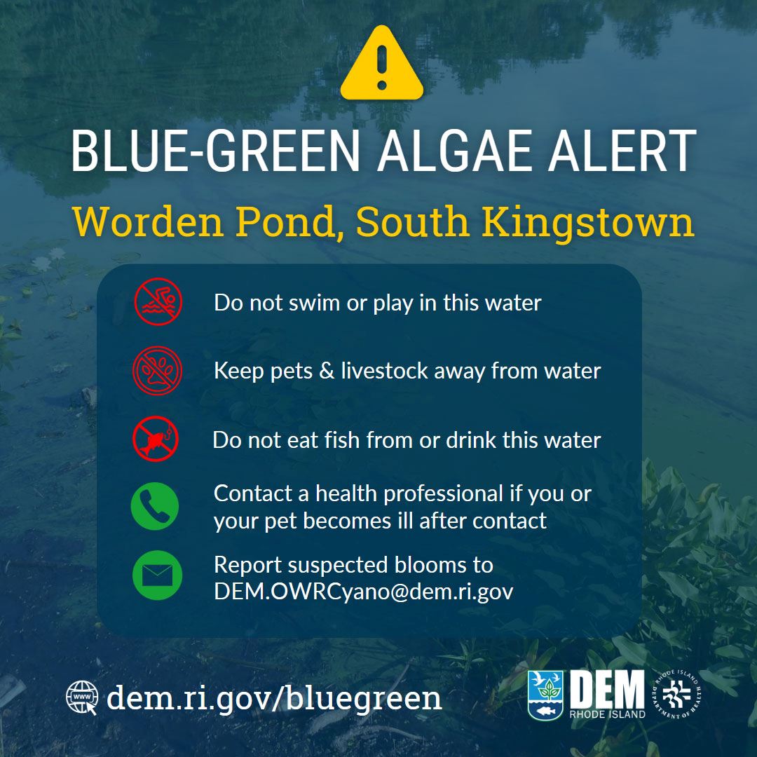 504979388_1120504753439262_2788804364007161340_n